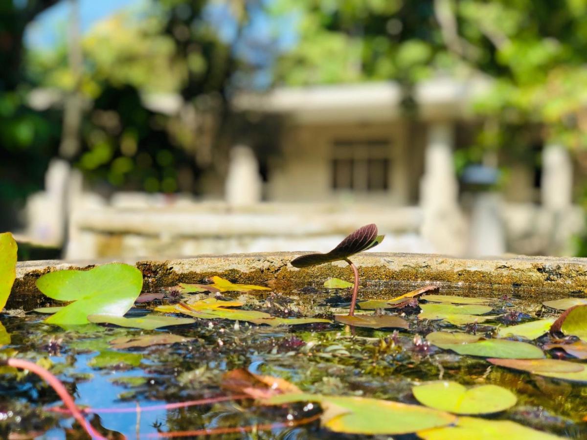 Paradise Garden Beruwala Esterno foto