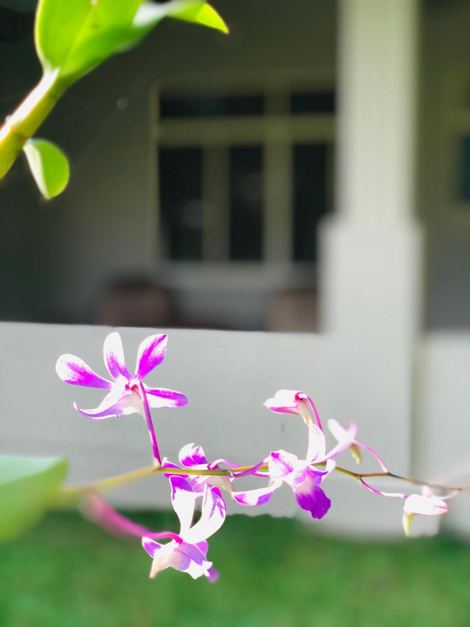 Paradise Garden Beruwala Esterno foto