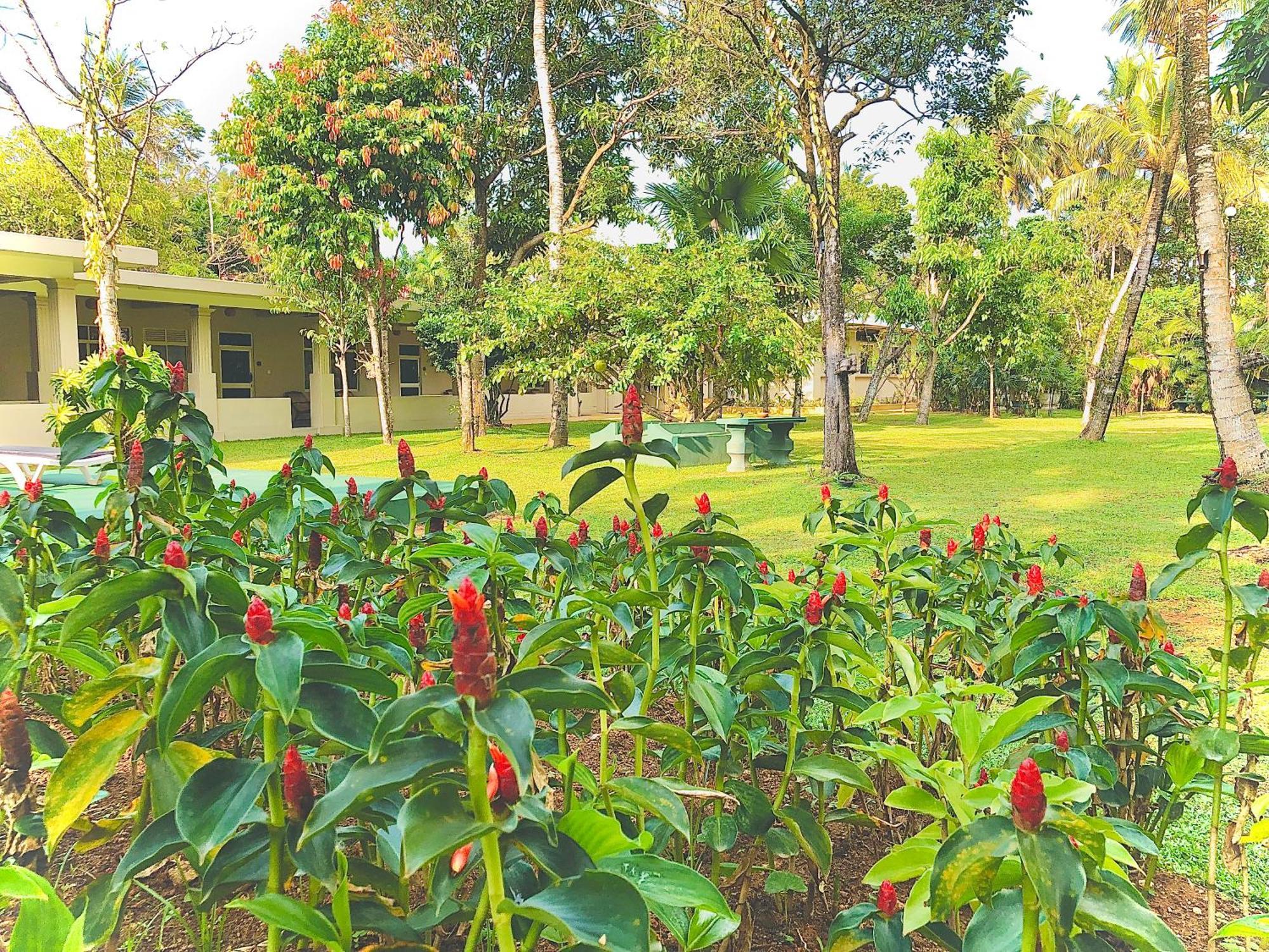 Paradise Garden Beruwala Esterno foto